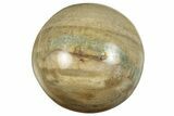 .9" Polished Petrified Wood Sphere - Photo 2